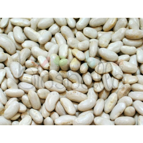 Fagioli Cannellini 500g