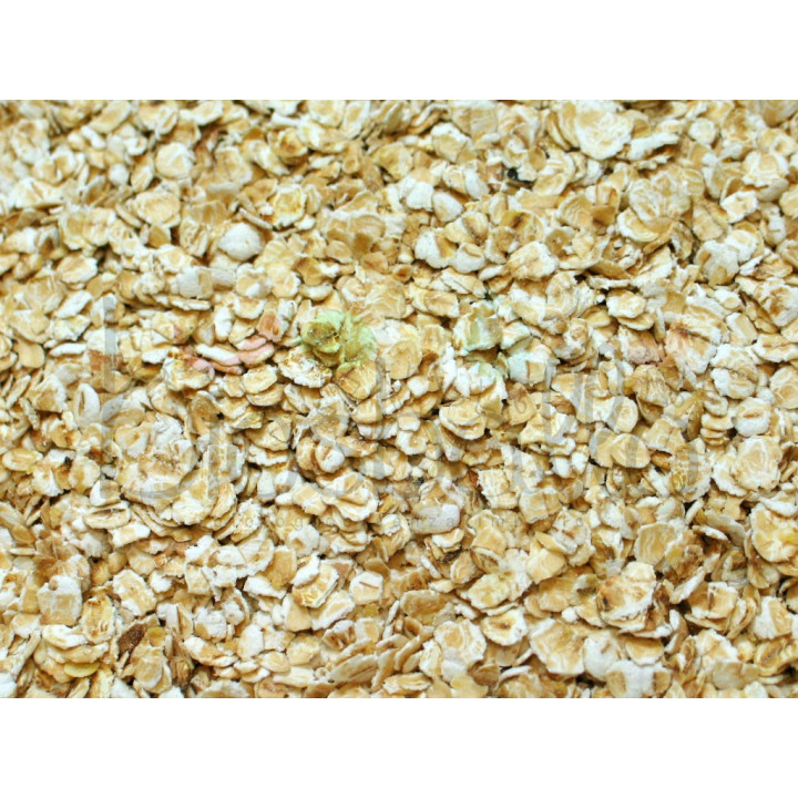 Fiocchi di avena 500g
