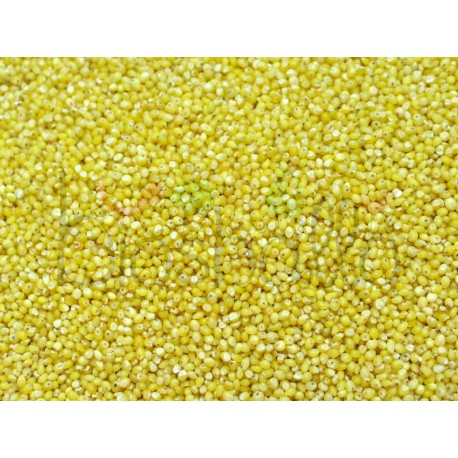 Miglio in chicchi decorticato 1kg