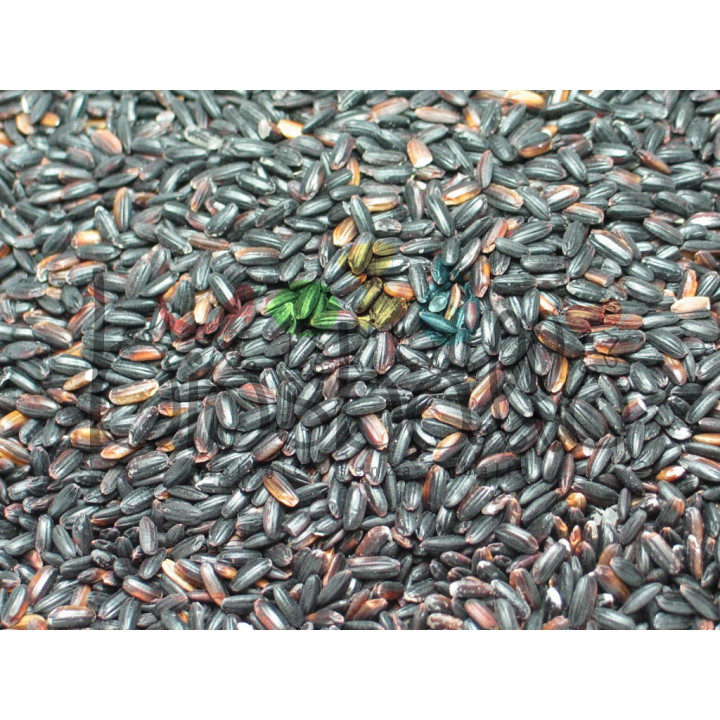 Riso Venere Nerone 1kg