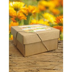 Calendula Officinalis, Tisana 50g