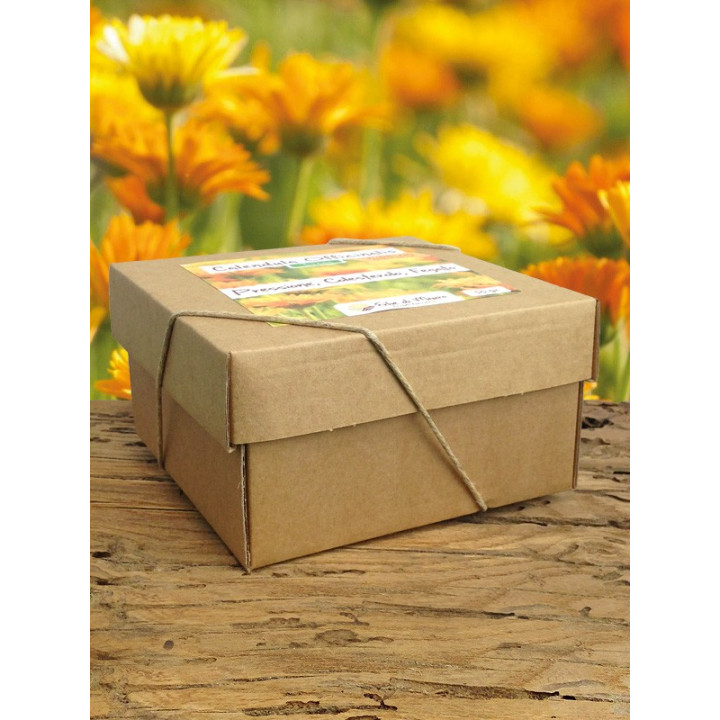 Calendula Officinalis, Tisana 50g