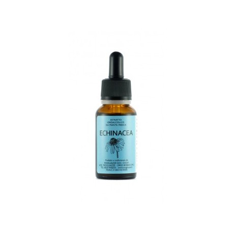 Echinacea Tintura Madre 20ml