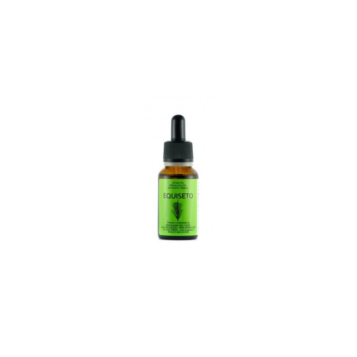 Equiseto Tintura Madre 20ml