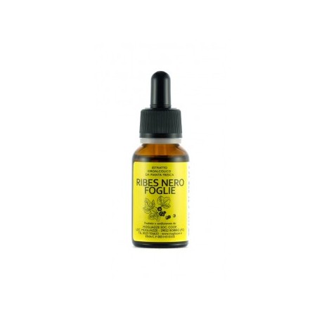 Ribes Nero foglie Tintura Madre 20ml