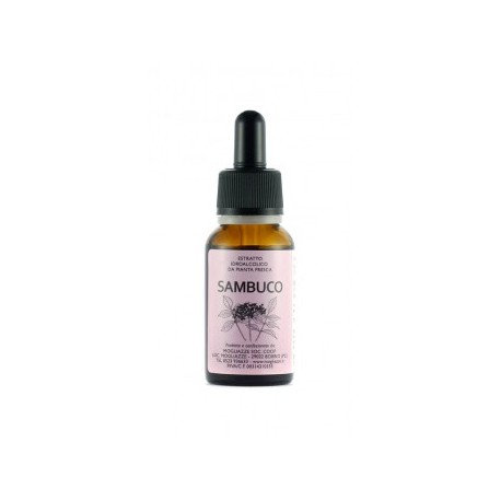 Sambuco Tintura Madre 20ml