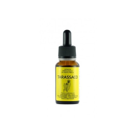 Tarassaco Tintura Madre 20ml
