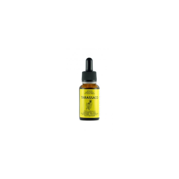 Tarassaco Tintura Madre 20ml