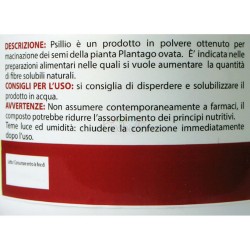 Farina di Psillio 200g