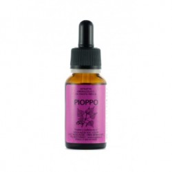 Pioppo Gemmoderivato 20ml
