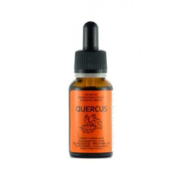 Quercus Gemmoderivato 20ml