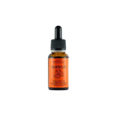 Quercus Gemmoderivato 20ml