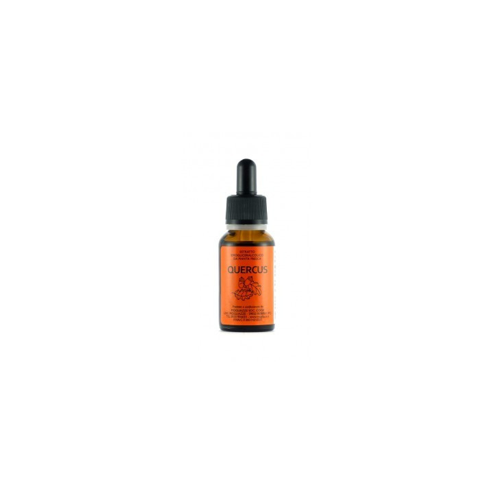 Quercus Gemmoderivato 20ml