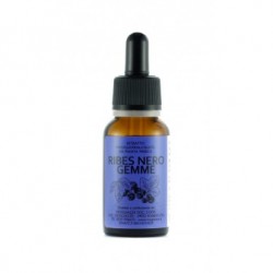Ribes Nero gemme Gemmoderivato 20ml
