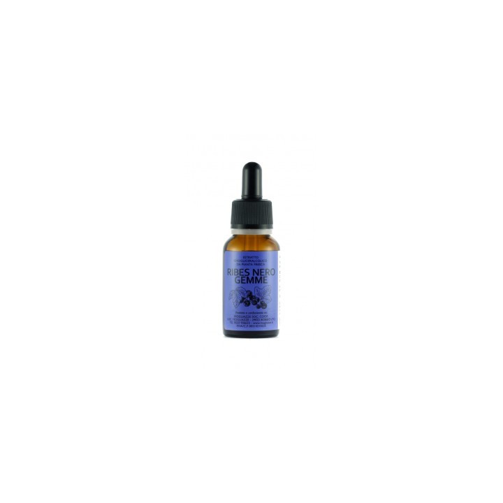 Ribes Nero gemme Gemmoderivato 20ml