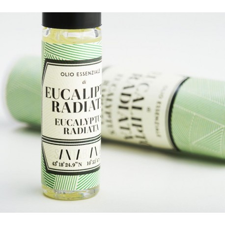Olio Essenziale di Eucaliptus Radiata 8ml