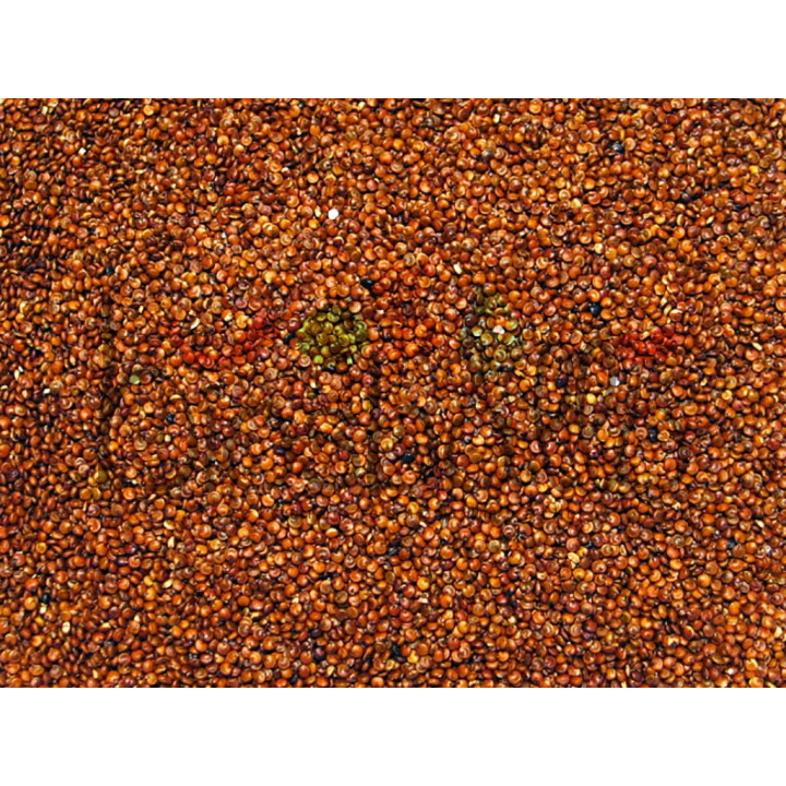 Quinoa rossa in chicchi 1kg