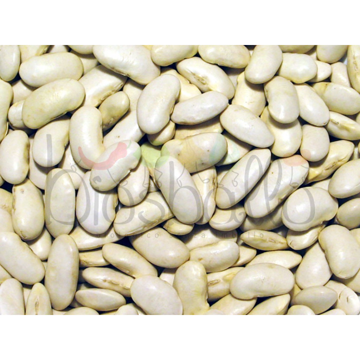 Fagioli bianchi di Spagna 500g
