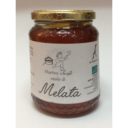 Miele di Millefiori 500g