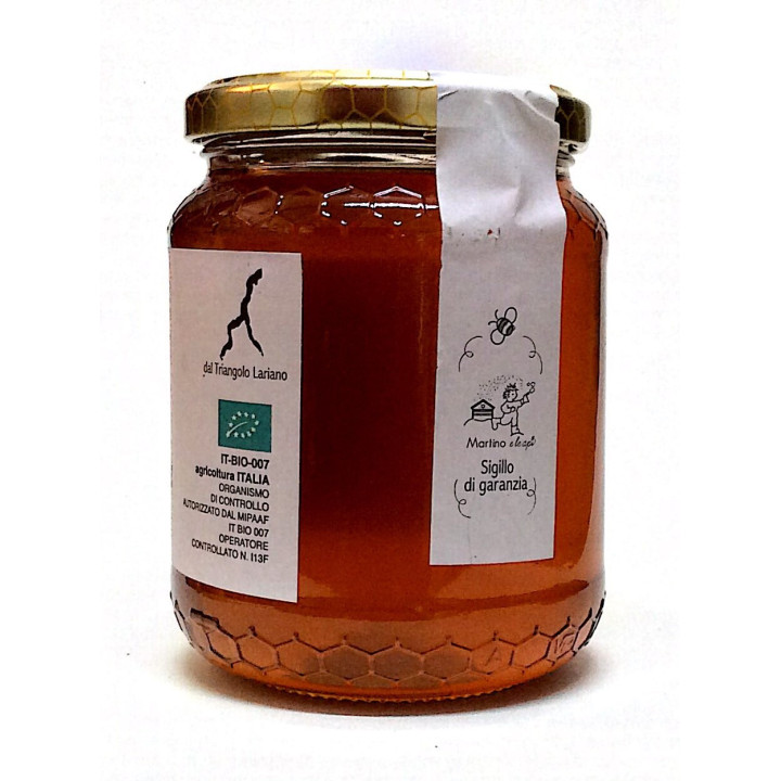 Miele di Millefiori di bosco 500g