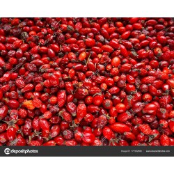 Cinorrodi secchi Rosa...