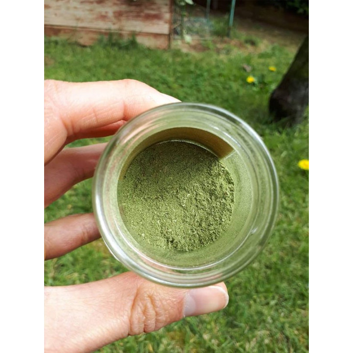 Equiseto in polvere 30g