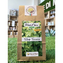 Foglie di Ribes Nero 50g...