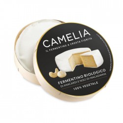 Formaggio vegetale di...