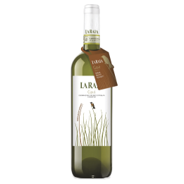 Vino bianco Gavi DOC senza solfiti 75cl