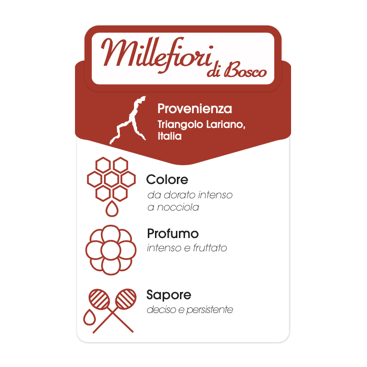 Miele di Millefiori di bosco 500g