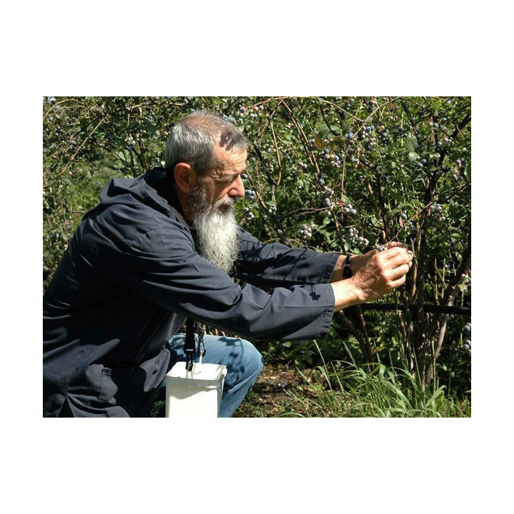 Confettura di Pere e Limoni 350g