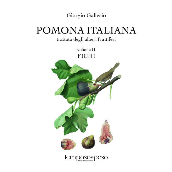 Libro "Pomona italiana - Fichi" di Giorgio Gallesio