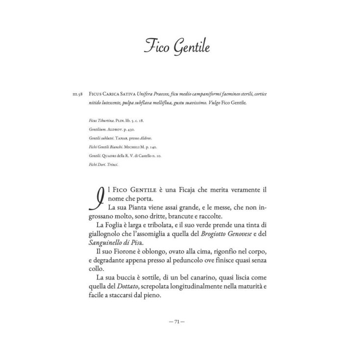 Libro "Pomona italiana - Fichi" di Giorgio Gallesio