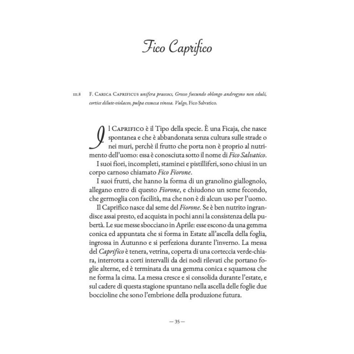 Libro "Pomona italiana - Fichi" di Giorgio Gallesio