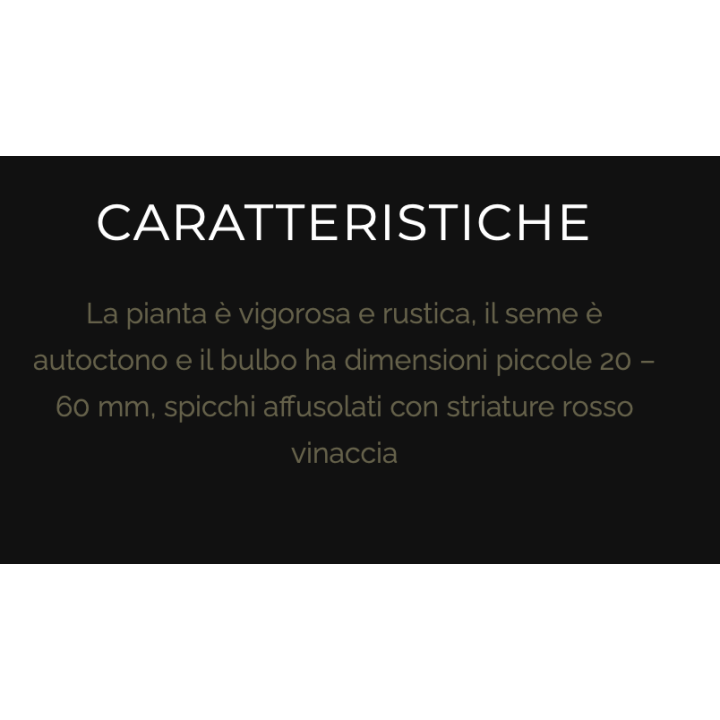 Aglio di Caraglio Slow Food resta 7 teste