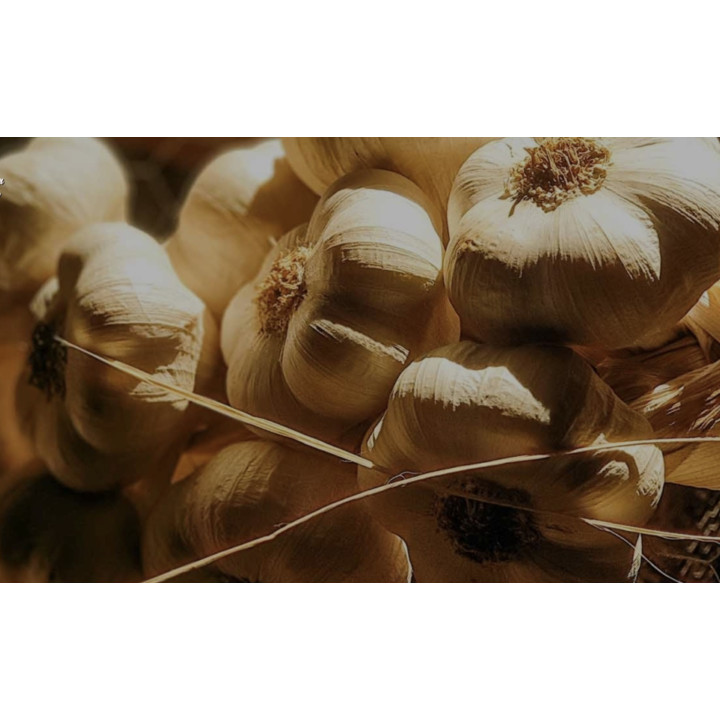 Aglio di Caraglio Slow Food resta 7 teste