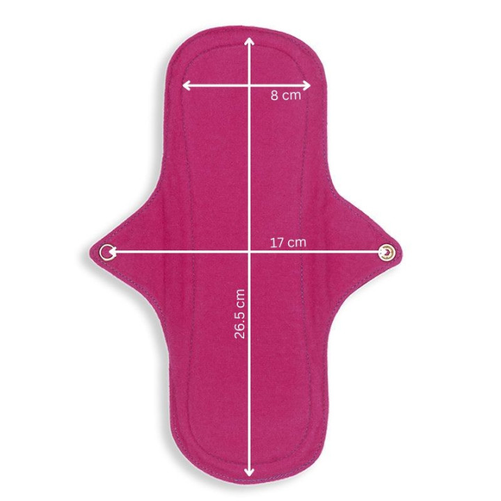 Salvaslip senza barriera