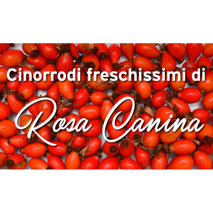 Cinorrodi freschi Rosa Canina 300g