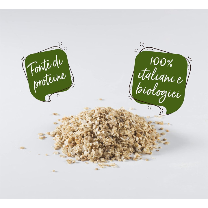 Fiocchi di quinoa biologici 270g